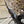 Barrel Adjuster and Pulley Kit for Gravel Jab