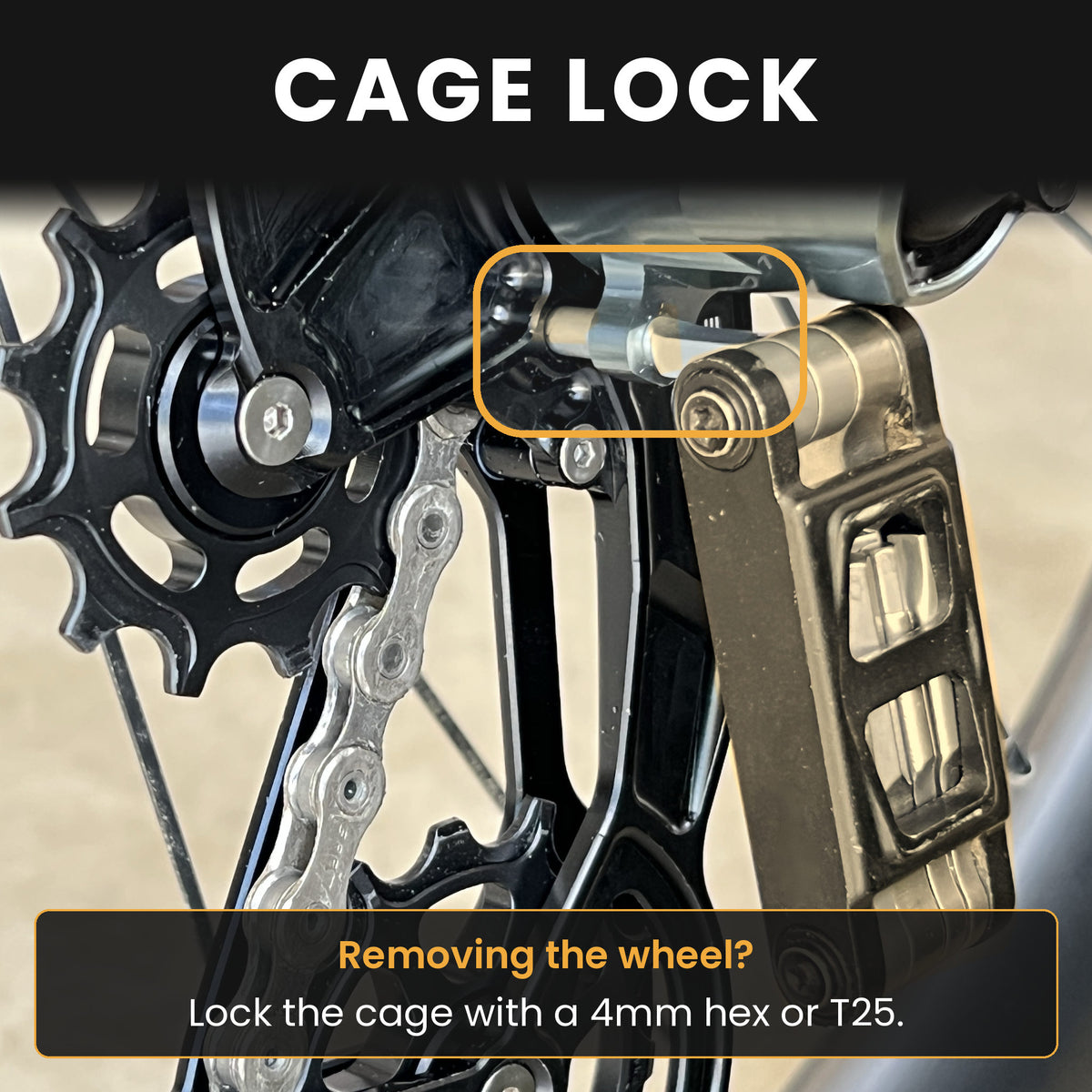 Custom Jab Derailleur