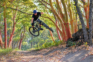 Mountain biker with full rider visible